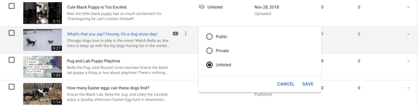 How to view private youtube videos 2018 store